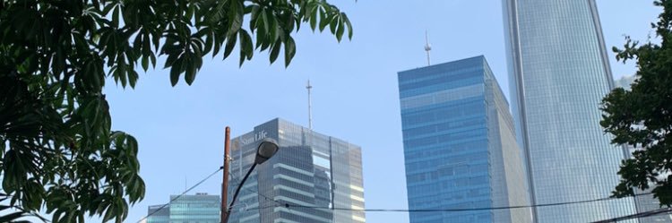 pandjieD's profile banner image