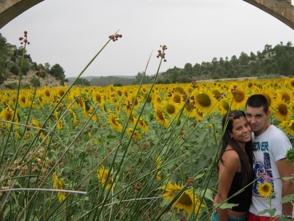 alba_282's profile banner image