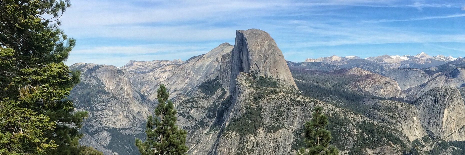 Andrew Snyder banner