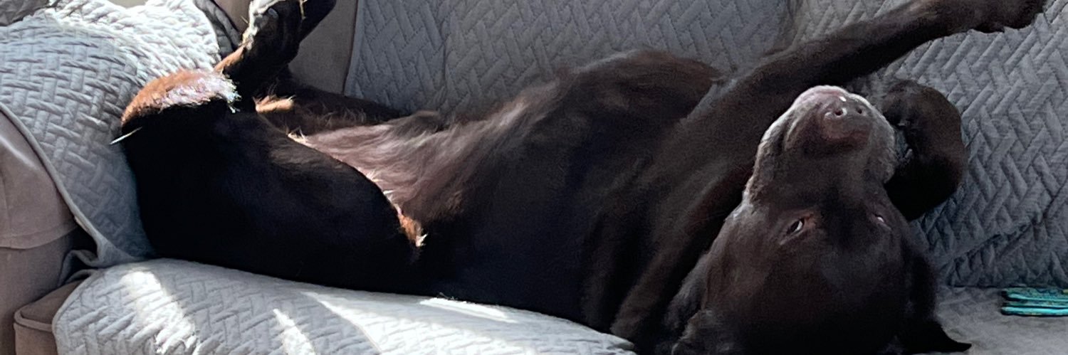 bpeby1's profile banner image