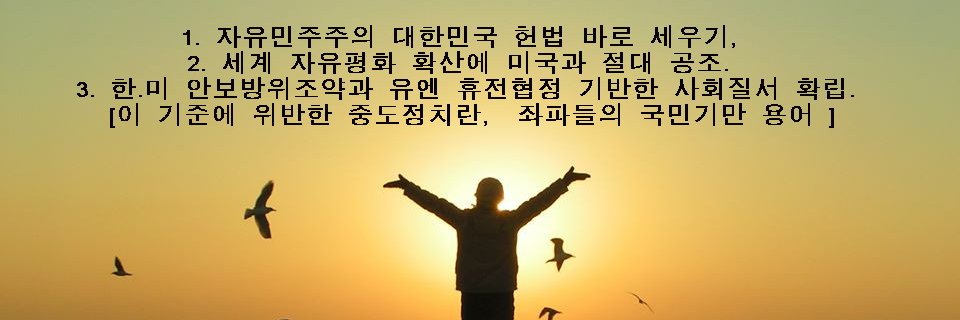 shimchung's profile banner image
