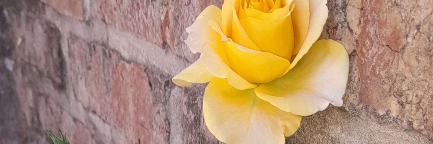 yo_morocha23's profile banner image