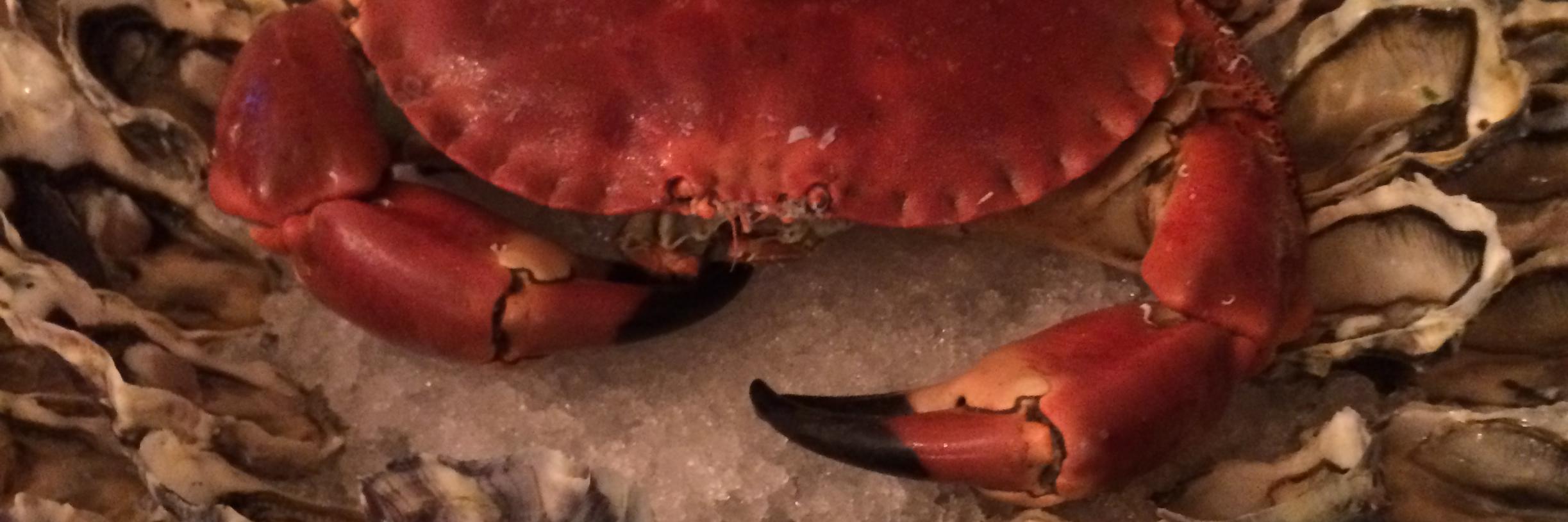 CrabShack3's profile banner image