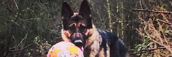 ShellLeach Profile Banner