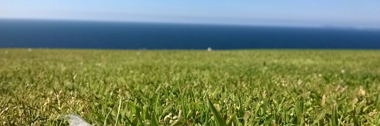 Mguel_1's profile banner image