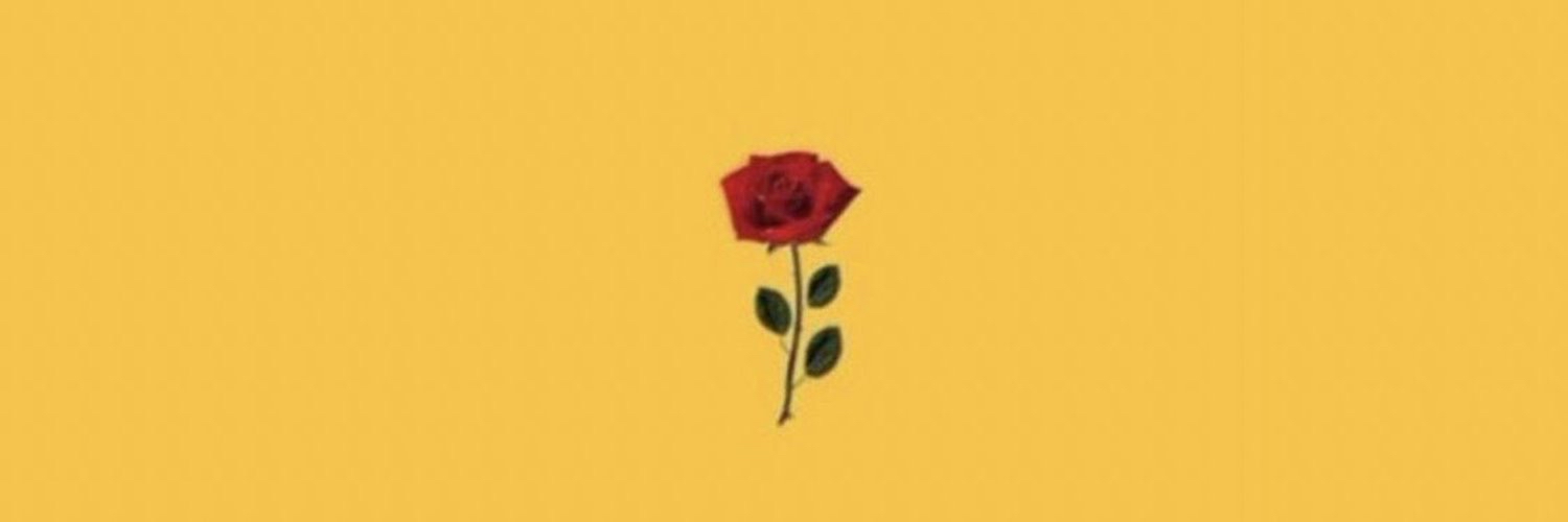 M_shayeeb's profile banner image