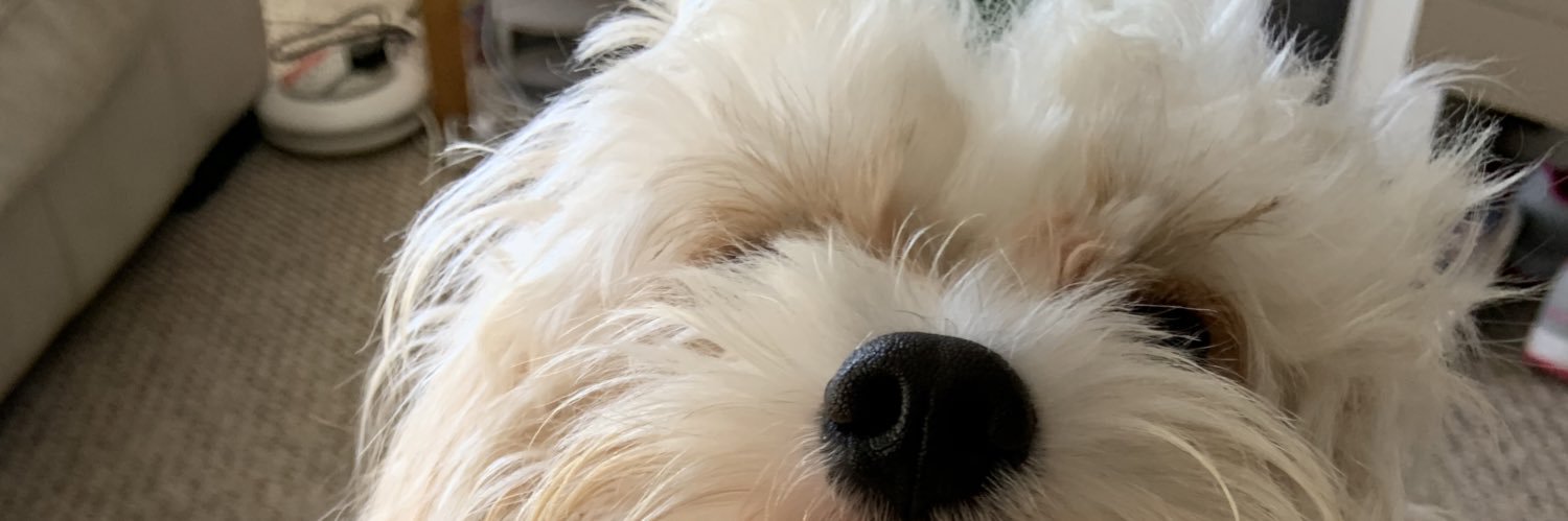 Julie Edwards banner