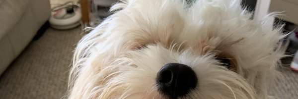 JulieEdwar Profile Banner