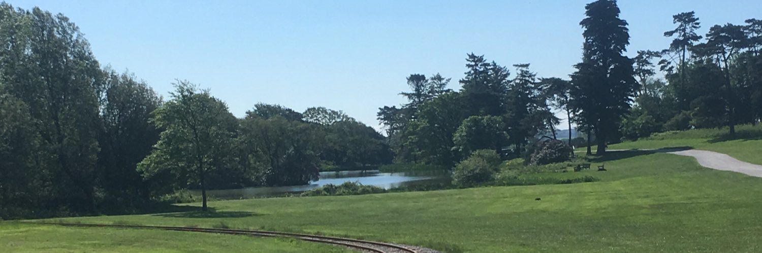 TKinneyWales's profile banner image