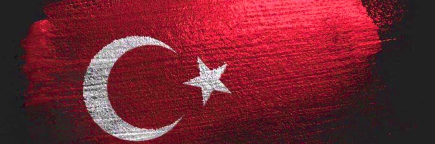 AliSavul's profile banner image