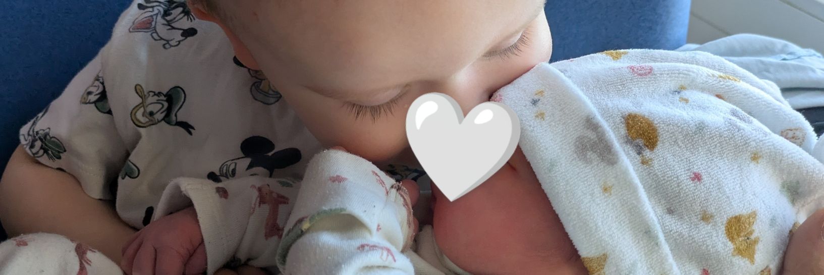 lulu 🧸 banner