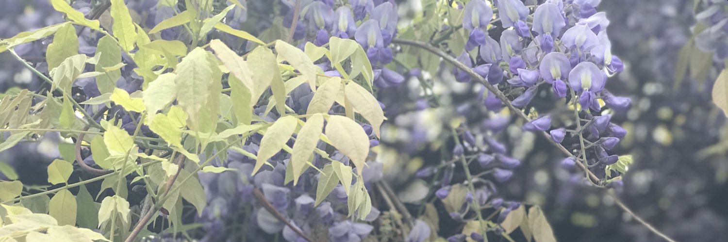 af26ds's profile banner image