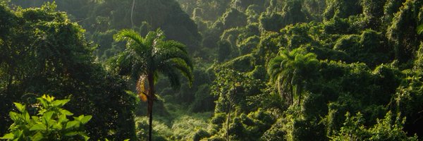 LeCielFdn Profile Banner