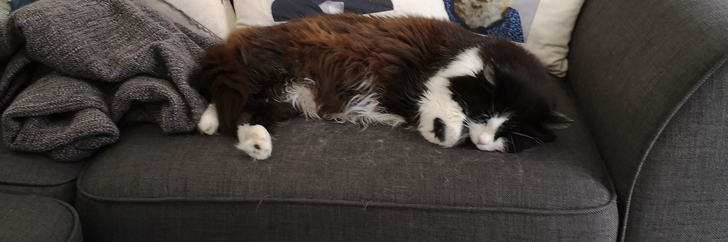 TheMikeOfLife's profile banner image