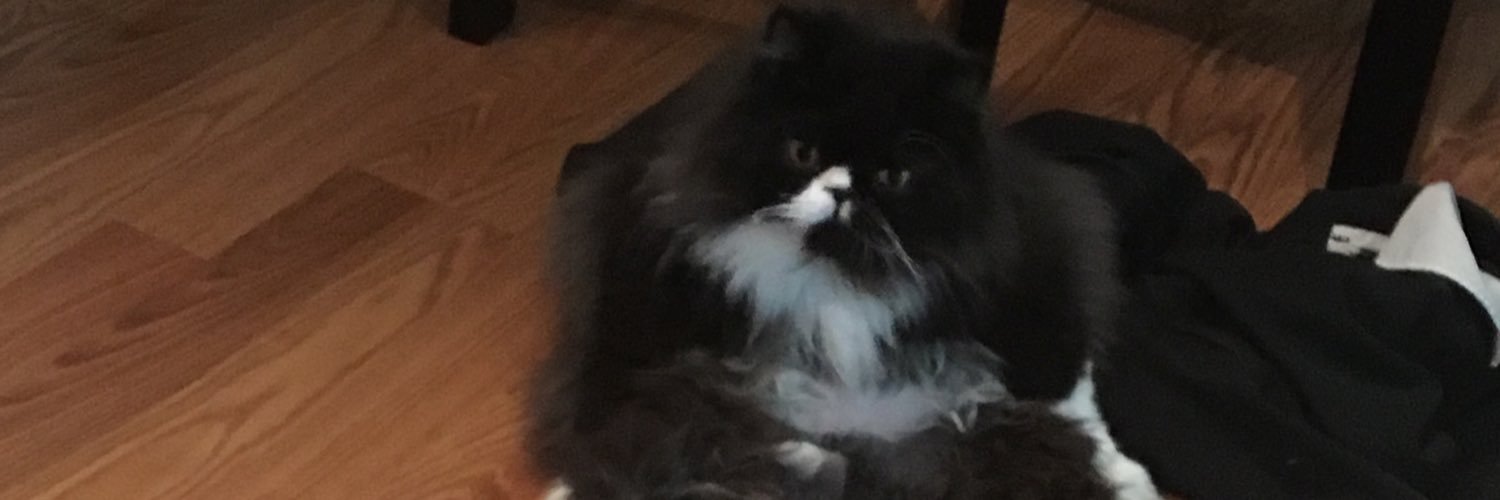 _BLONDEPOTATO_'s profile banner image