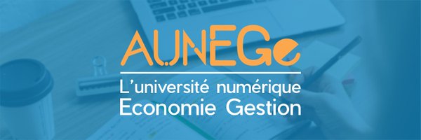 Aunege Profile Banner