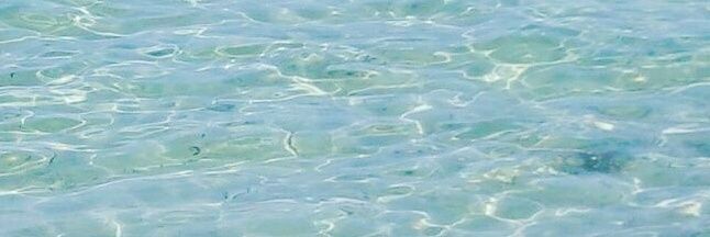 EmaGemelli's profile banner image