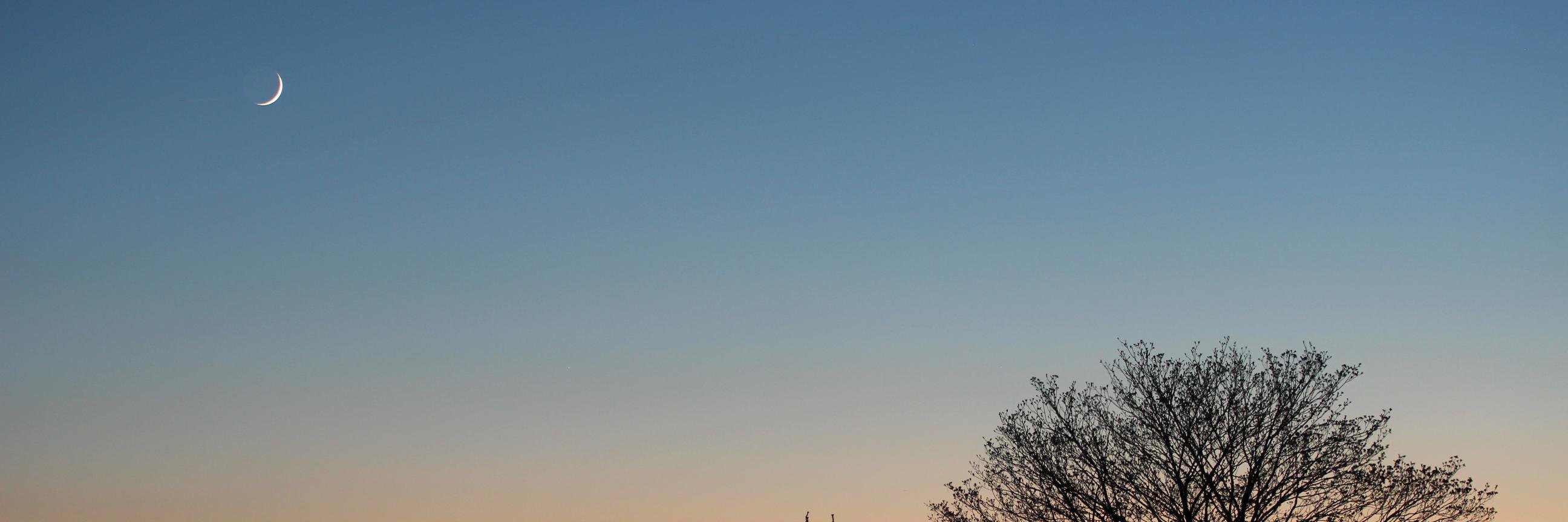 Marco Peuschel banner