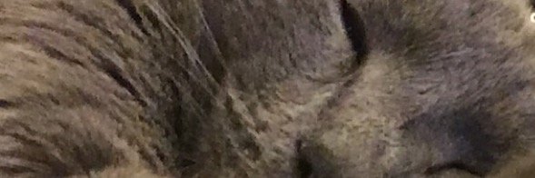 Silthreent's profile banner image