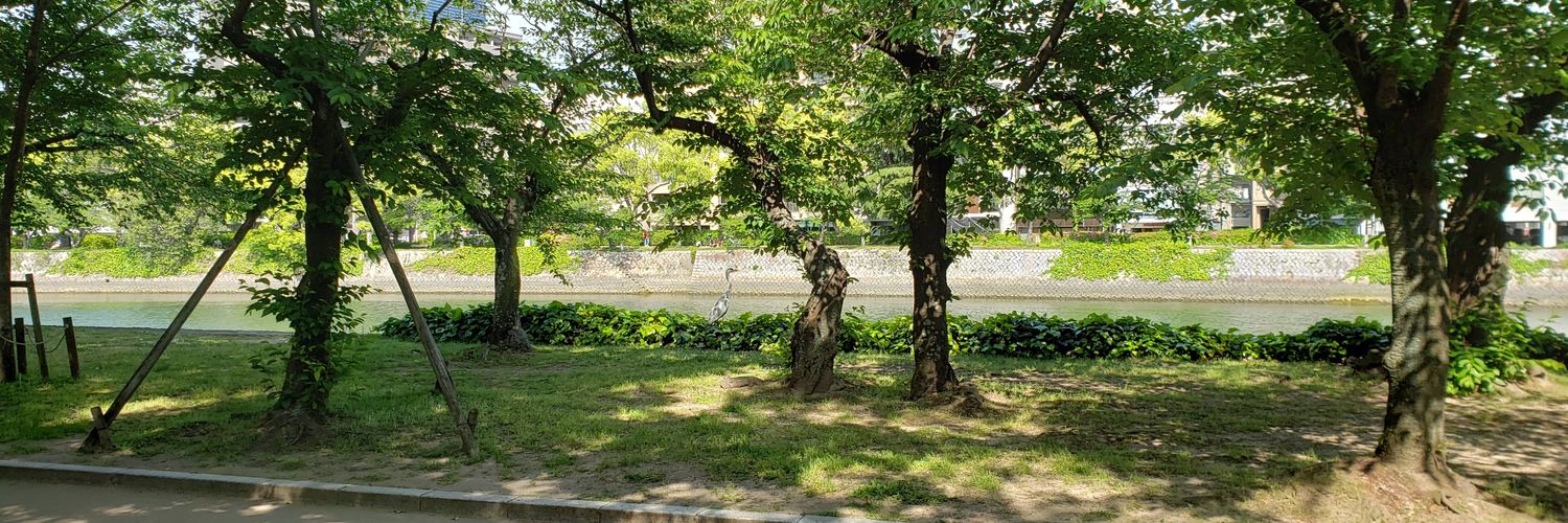 kiyota98's profile banner image