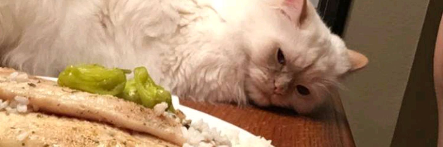 Lwildbro's profile banner image