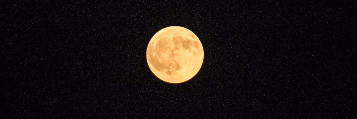 sinamdra's profile banner image