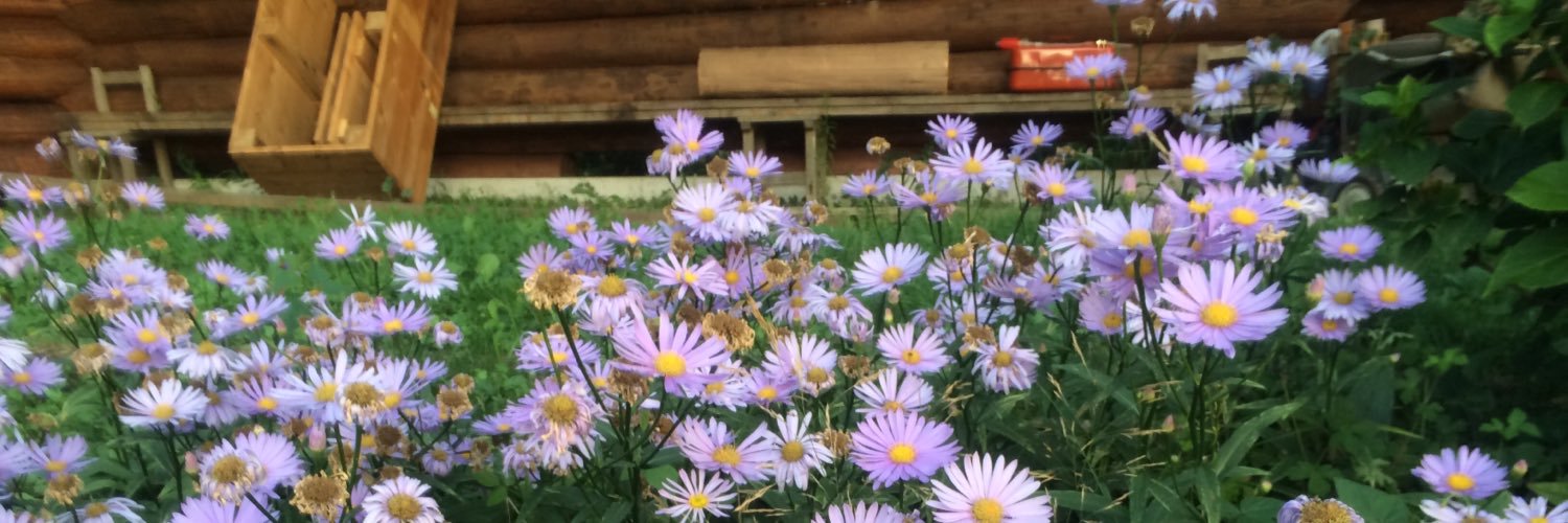 tyy_vn's profile banner image