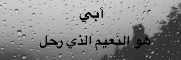 Mnoor_Mo's profile banner image