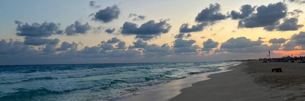 Toqa_Harb's profile banner image