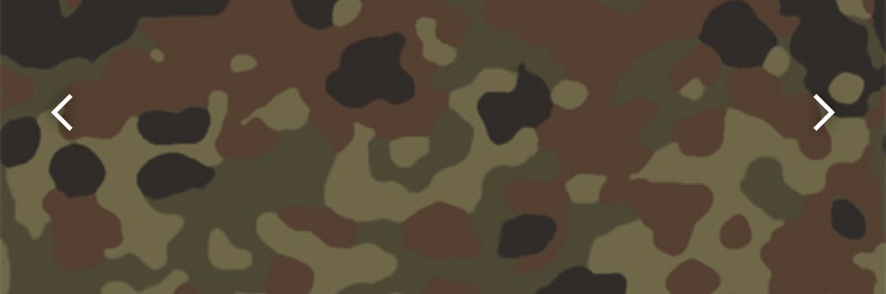 Brad C.'s banner