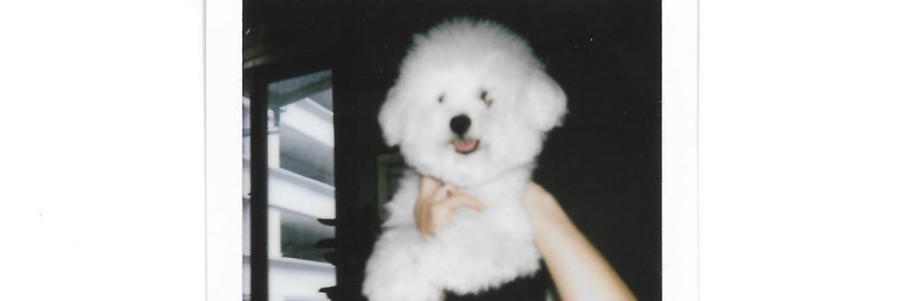 Cᴵᴺᴰᴱᴿᴱᴸᴸᴬ ༘♡⋆ banner