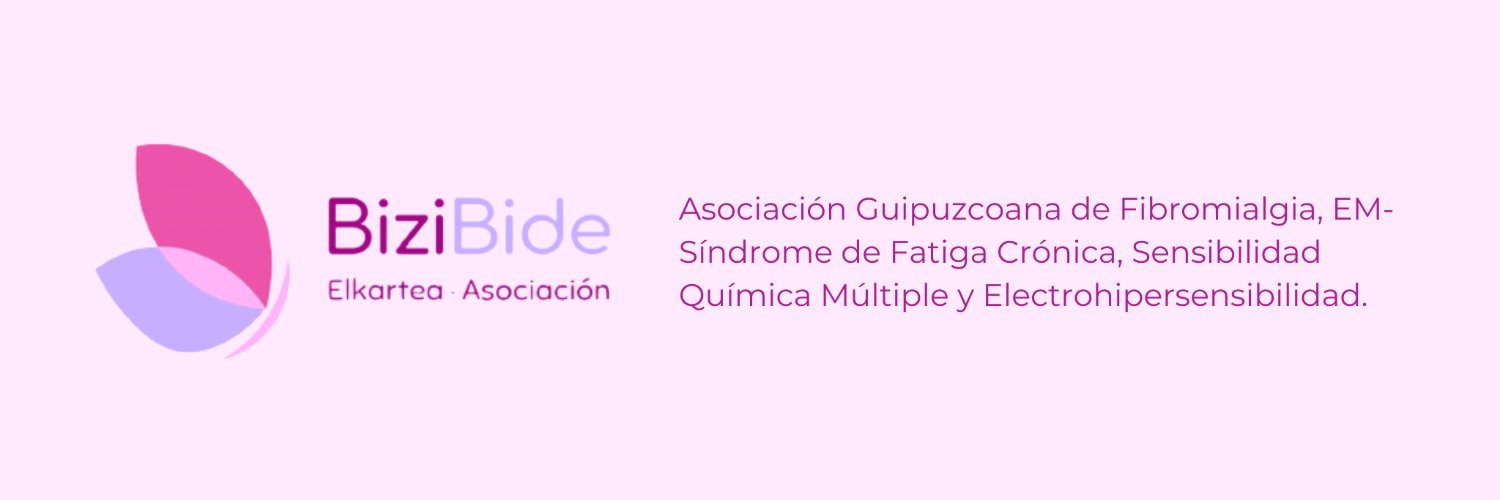 Asociación Bizi Bide Elkartea banner