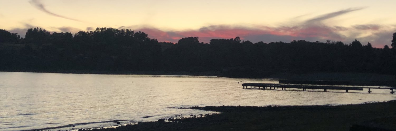 monosgorilas's profile banner image