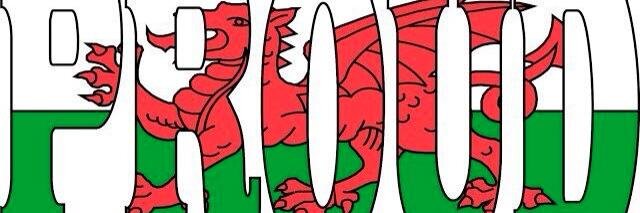 WelshDragonSRD's profile banner image