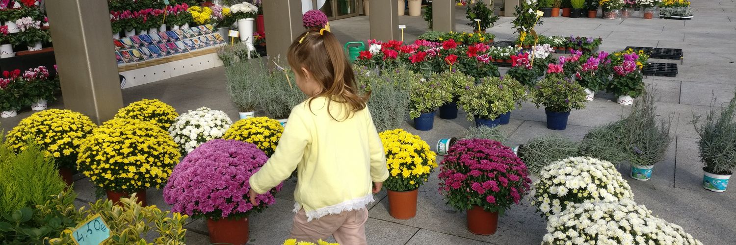 Dany_danay | Betsuites banner