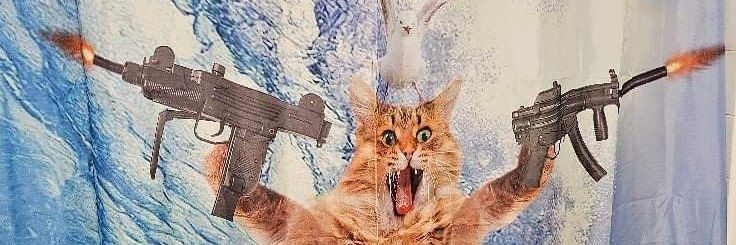 Meowzer88's profile banner image
