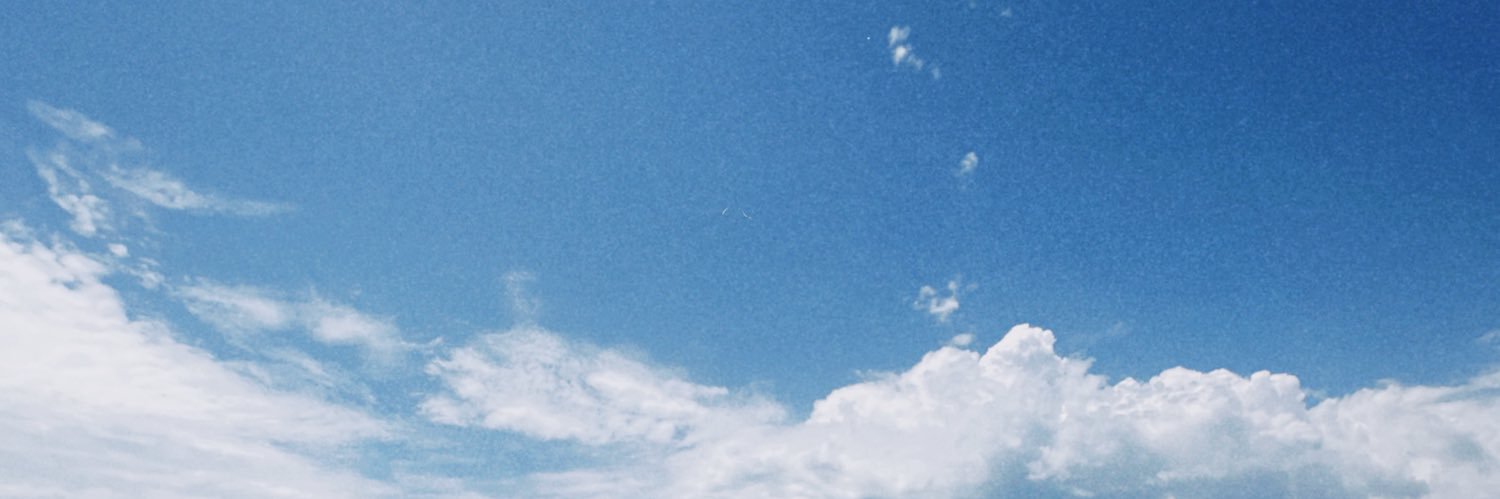 sfesilva's profile banner image