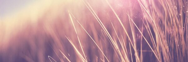 KMimagine Profile Banner