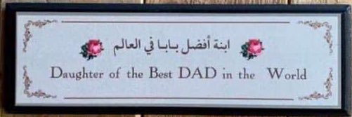 Mayar Al-badawi banner