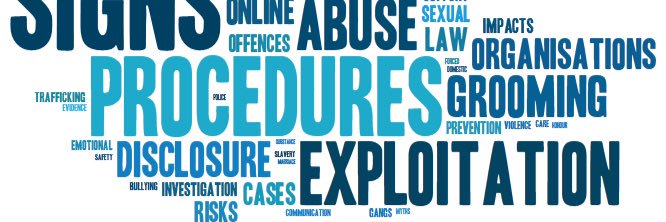 Amy Elizabeth banner