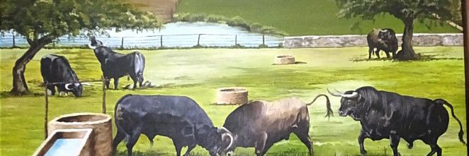 moramontellano's profile banner image