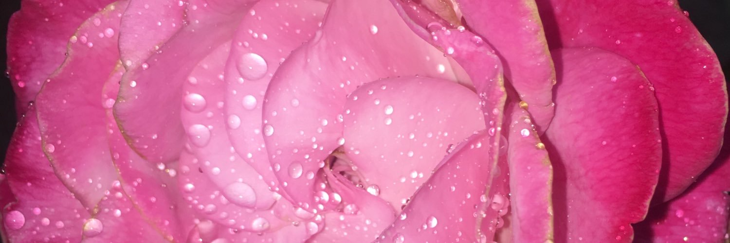 TiffanyDunning2's profile banner image