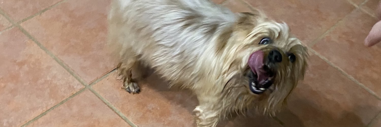 Victoria Orbison banner