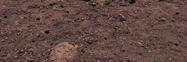 Ranstrans's profile banner image