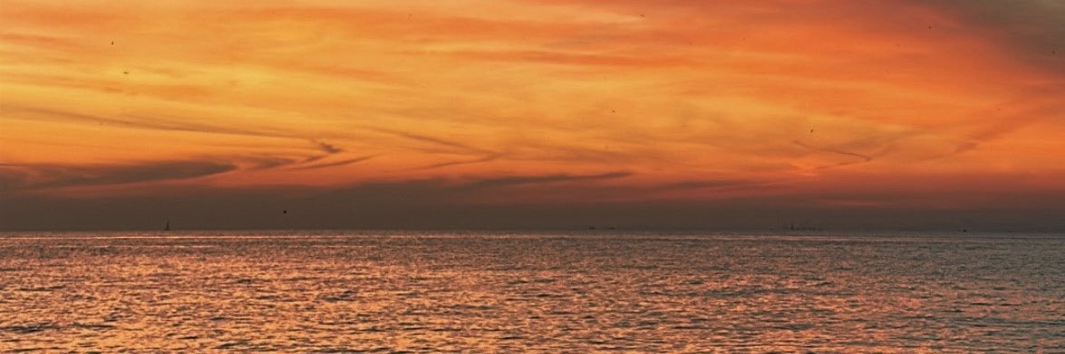 ezgiyetta's profile banner image