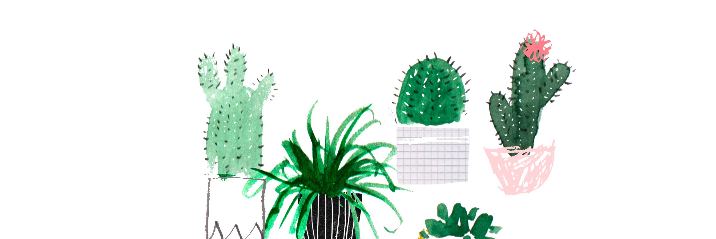 KyleePlummer's profile banner image