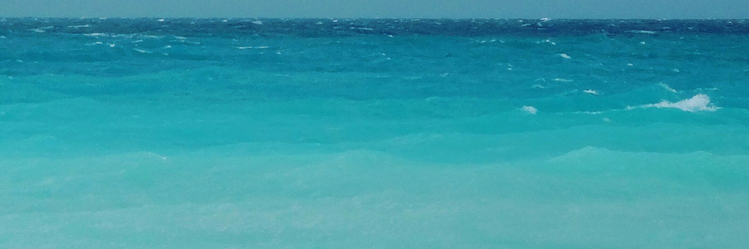 luludimarian's profile banner image