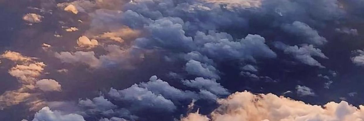 selvirboy's profile banner image