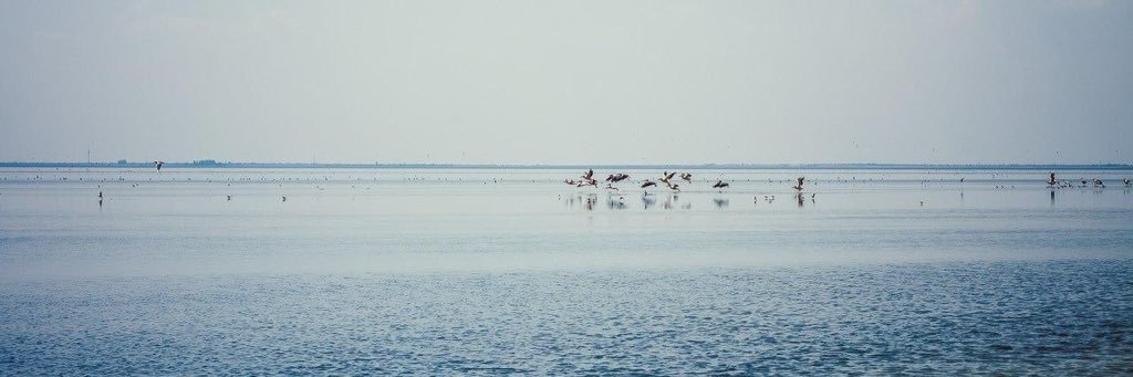 LettaDolor's profile banner image