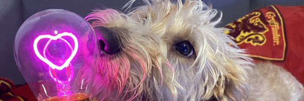 samuelboxs Profile Banner